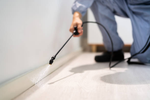 Bed Bug Pre-Treatment Preparation Assessment in Rapids