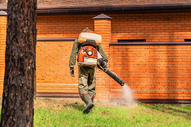 Bed Bug Clearance Verification and Documentation in Rapids